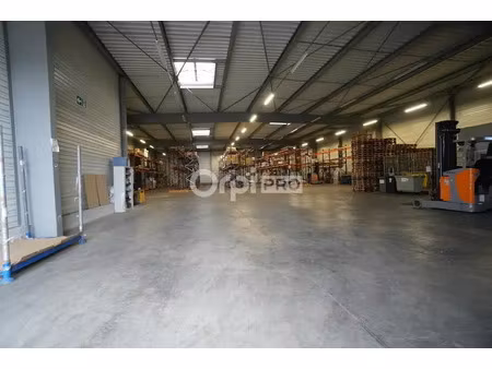 local d'activite 1100m2 a louer