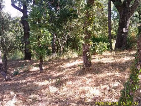 achat terrain 1 200m² les mayons 83340