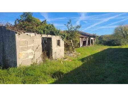 vente maison saint-mariens (33620)