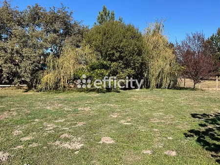 maison 5 pièces - 125 m²