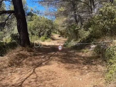 vente terrain 40890 m² à solliès-ville (83210)  146 000 €