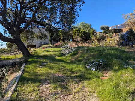 vente terrain à ollioules (83190)  367 500 €