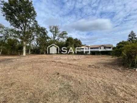 vente terrain 11368 m² à lanton (33138)  630 000 €