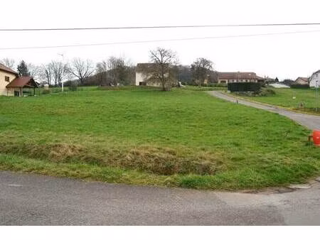 terrain constructible viabilisé à vendre