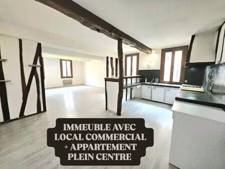 immeuble avec appartement  local commercial et cave