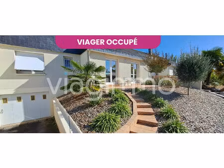 viager occupé - montjean-sur-loire - maison 5p - décote 48 7%