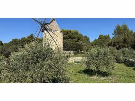 maison avec jardin et terrasse joucas (84)