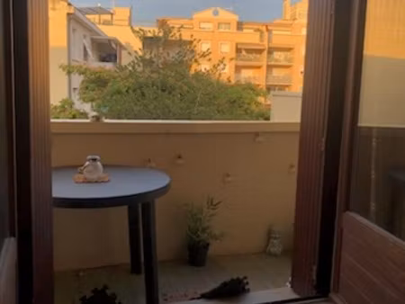 location appartement 1 pièce 24 m² à cahors (46000)