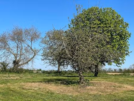 terrain constructible viabilisé à vendre