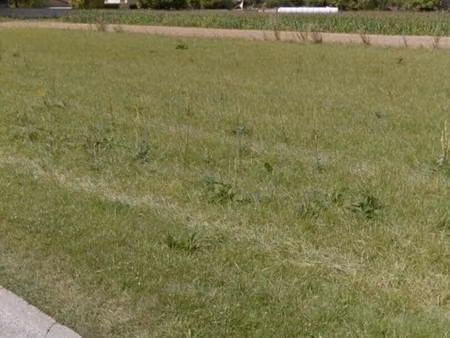 terrain constructible viabilisé à vendre