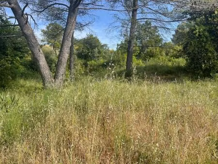 terrain constructible viabilisé à vendre