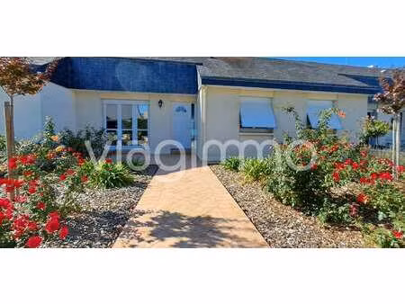 vente maison viager à montjean-sur-loire (49570) : à vendre viager / 80m² montjean-sur-loi