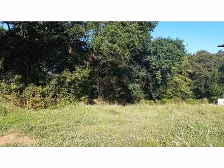 terrain constructible viabilisé à vendre