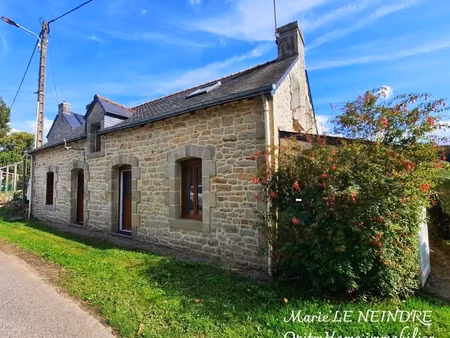 maison en pierre atypique – plouray (56)