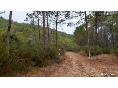 pinède - lieu-dit saint blaise - 18 460m - 83143 le val