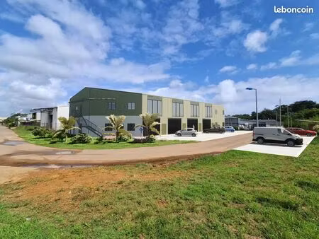 entrepôt 77 m² remire-montjoly