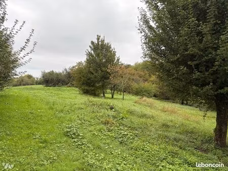 terrain 3963 m² chemaudin