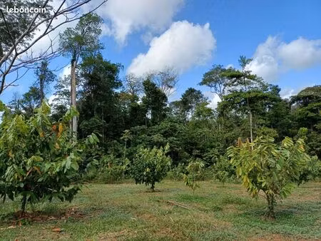 terrain agricole 10ha