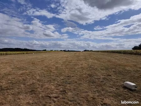 terrain 29960 m² vicq-sur-nahon