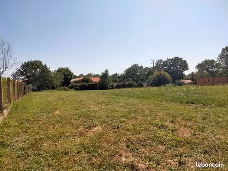 terrain à bâtir a buzet sur tarn