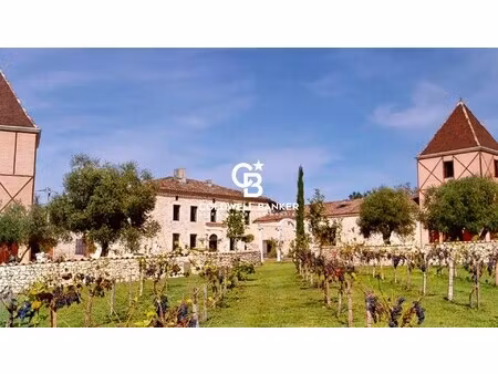 maison de luxe à vendre à cahuzac-sur-vère