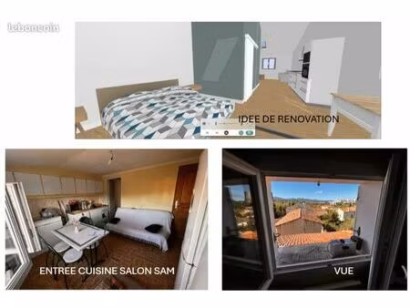 appartement t2 avec locataire à négocier