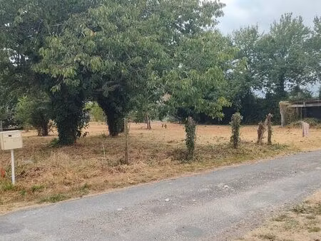 terrain constructible