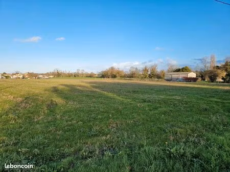 terrain 1 977 m² bois