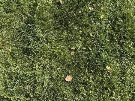 terrain 553 m² saint evarzec