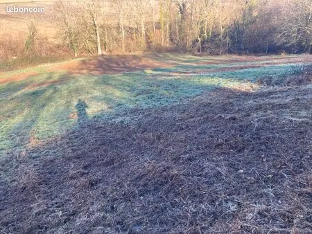 prairie pour pâturage animaux