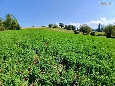 terrain pour chevaux