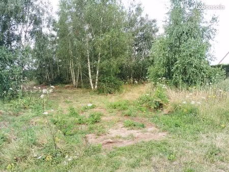 terrain 1331 m² courdemanche