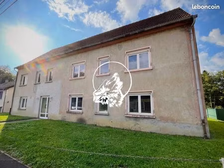 immeuble 339 m² volmunster