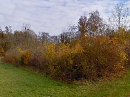 terrrain a bâtir a vendre