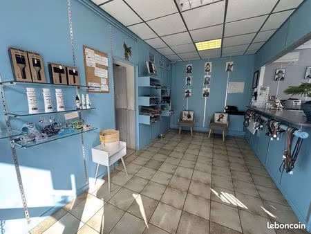 local commercial 33 m² blagnac