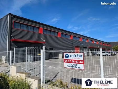 local d'activité 290 m²