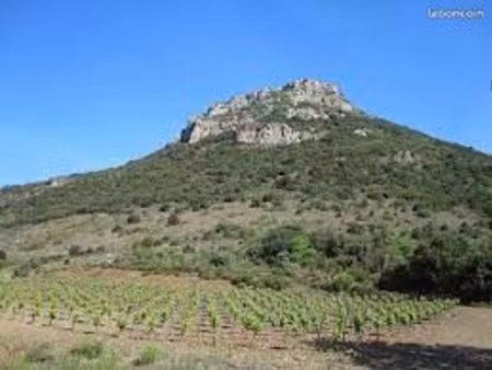 divers terrains garrigue cabrières