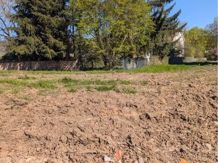 terrain constructible viabilisé– wissembourg (67160)
