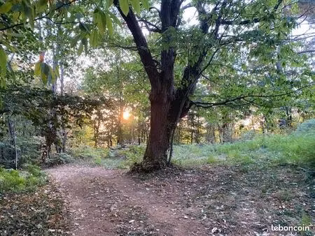 terrain constructible 1607 m2