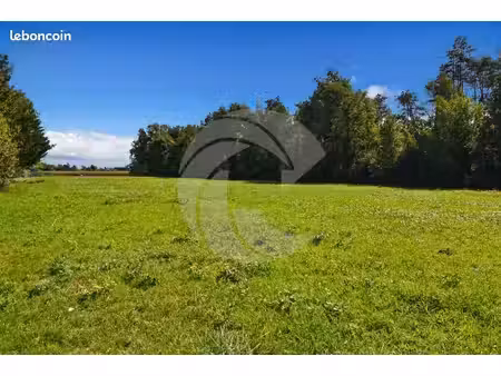 terrain 11707 m² negrepelisse