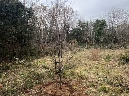 location terrain forestier