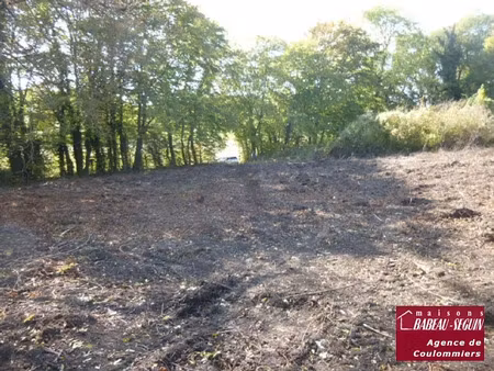 vente terrain 1909 m² à amillis (77120)  85 000 €