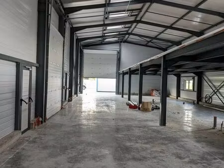 local d'activite 500 m² entrelacs