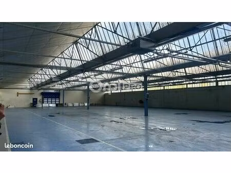 local d'activité 9 000 m²