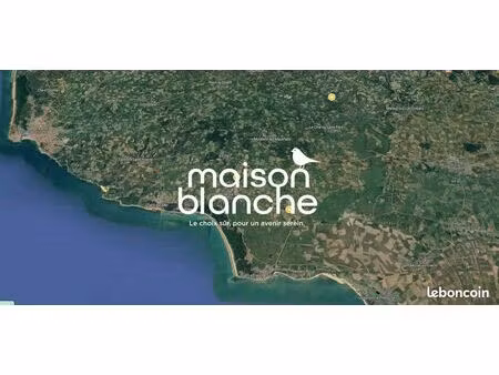 local 350 m² avrille