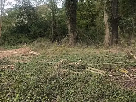 vente terrain 606 m² à naintre (86530)  35 000 €