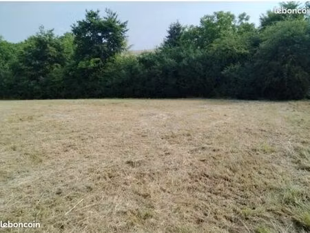 terrain constructible 3950 m2