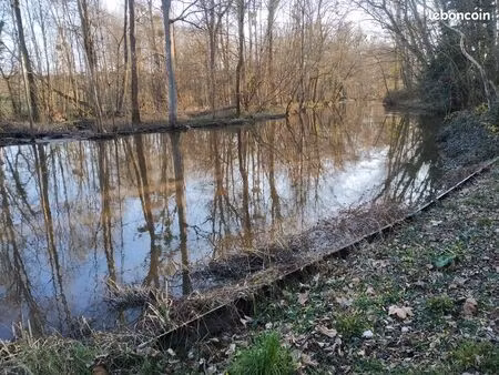 terrain bord de rivière