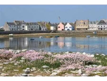 vente maison bord de mer à île-de-sein (29990) : à vendre bord de mer / 43m² île-de-sein