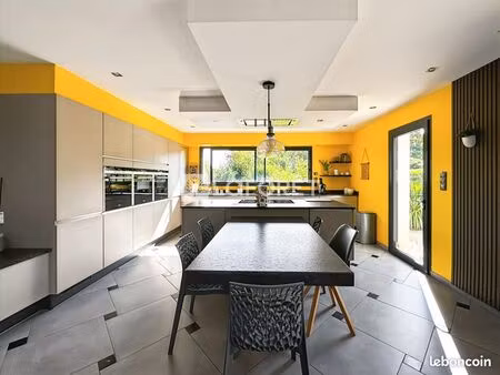 maison 9 pièces 295 m²